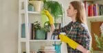 Shield Your Funding: Important Cleansing Ideas for Householders